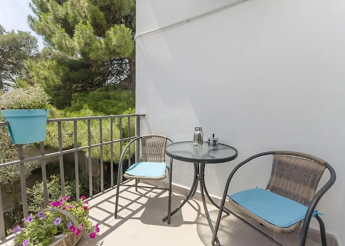 Alfirev Tomislav * Vodice